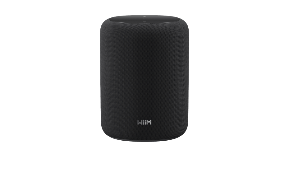 WiiM Sound Lite